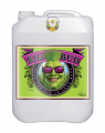 Advanced Nutrients Big Bud 5L